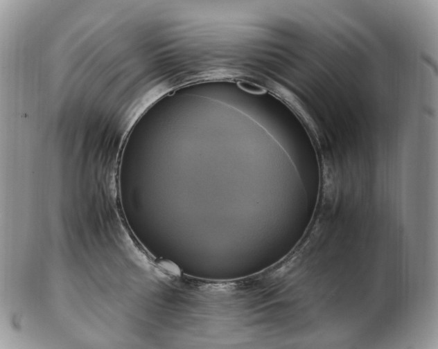 X0000102840810200808251154