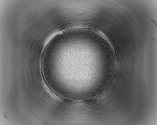 X0000102840811200808251154