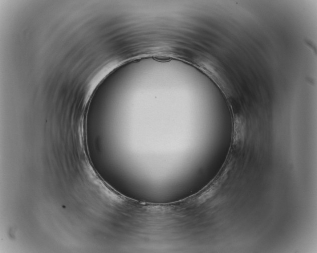 X0000102840812200808251154