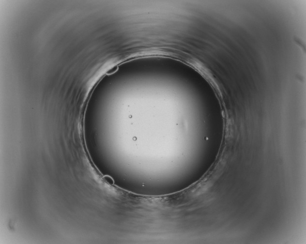 X0000102840813200808251154