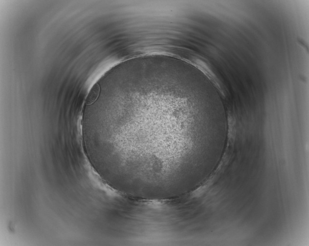 X0000102840814200808251154