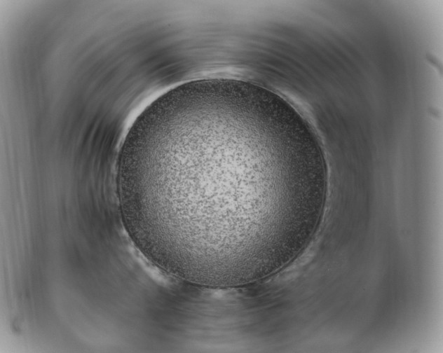 X0000102840816200808251154