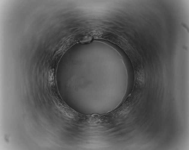 X0000102840818200808251153