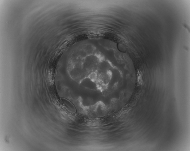 X0000102840819200808251153