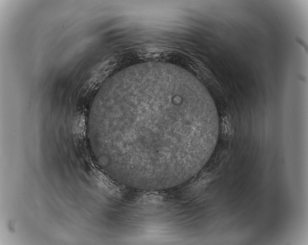 X0000102840820200808251153