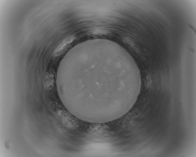 X0000102840824200808251153