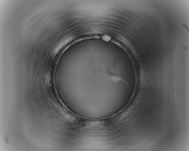 X0000102840826200808251153