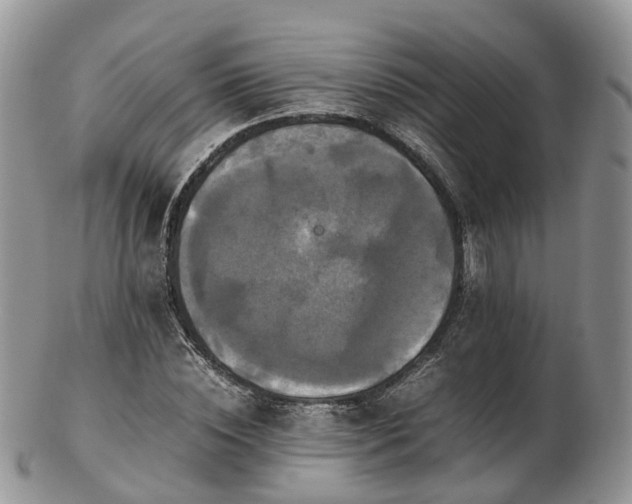 X0000102840828200808251153