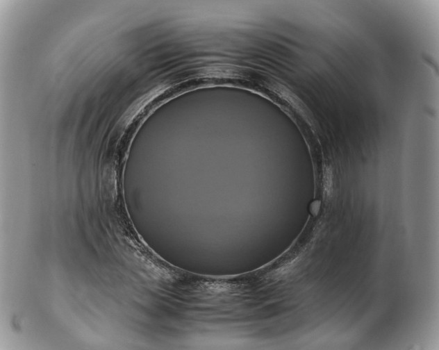 X0000102840829200808251153