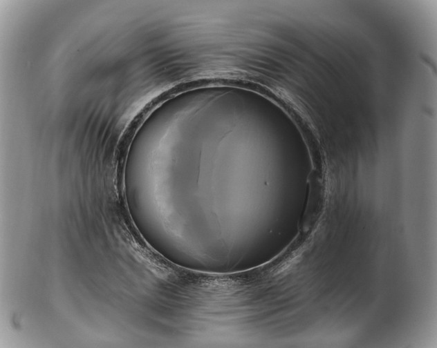 X0000102840830200808251154