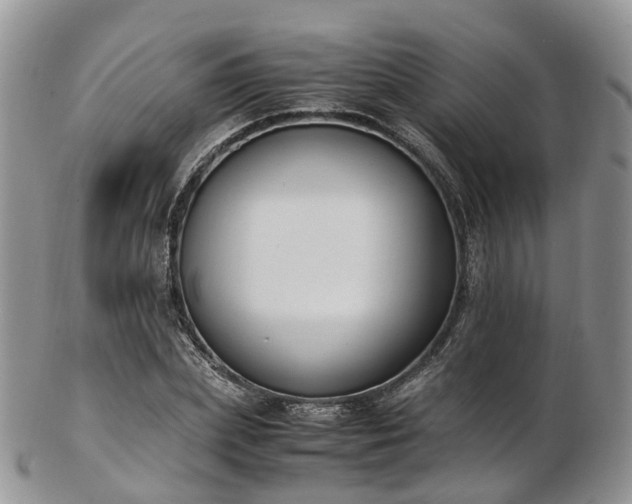 X0000102840831200808251154