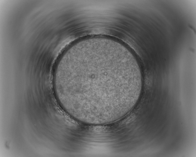 X0000102840832200808251154