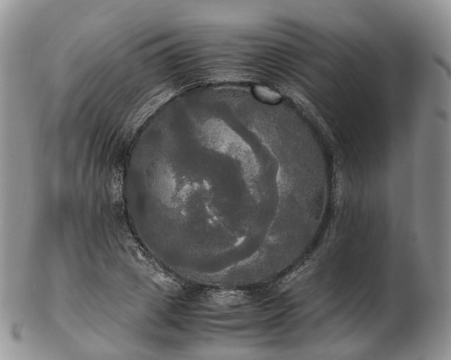 X0000102840833200808251154