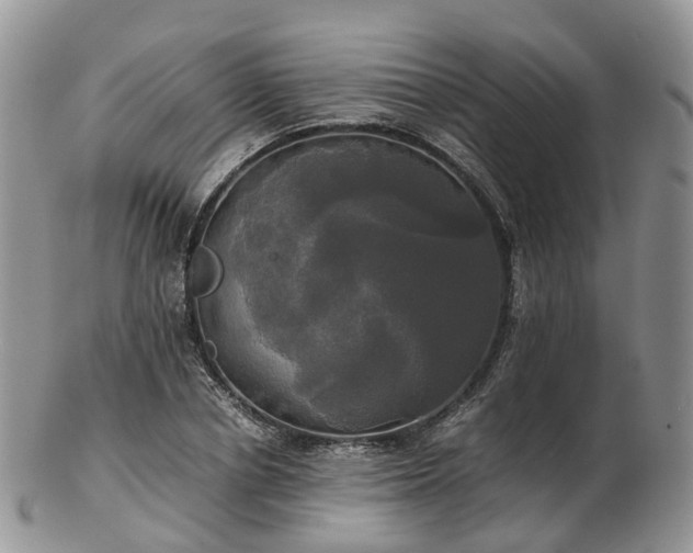 X0000102840834200808251154