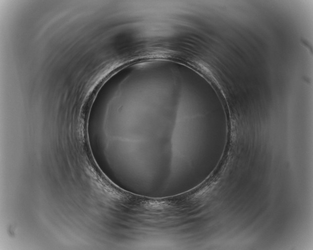 X0000102840835200808251154