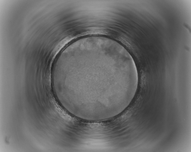 X0000102840836200808251154