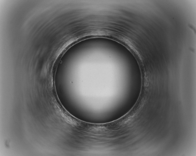 X0000102840837200808251154