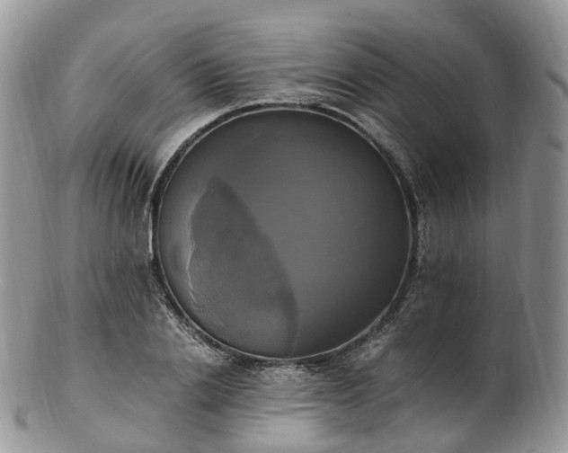 X0000102840838200808251154