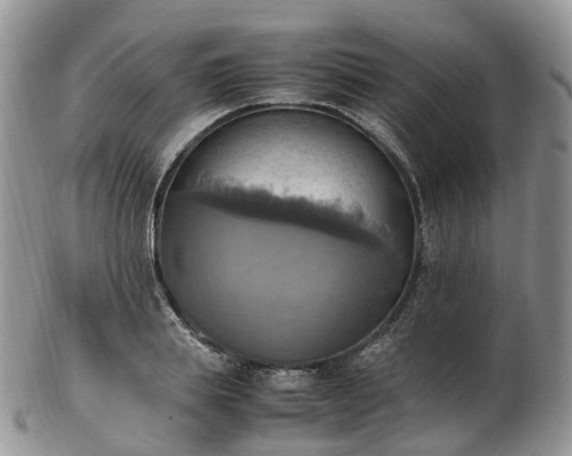 X0000102840839200808251154