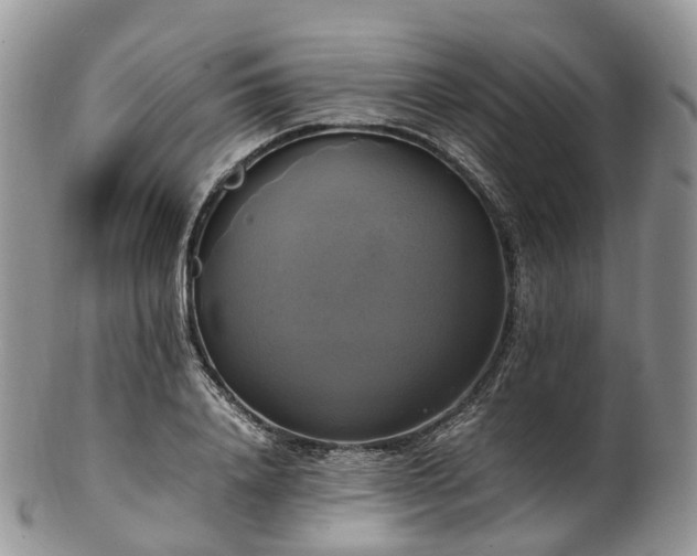 X0000102840840200808251154