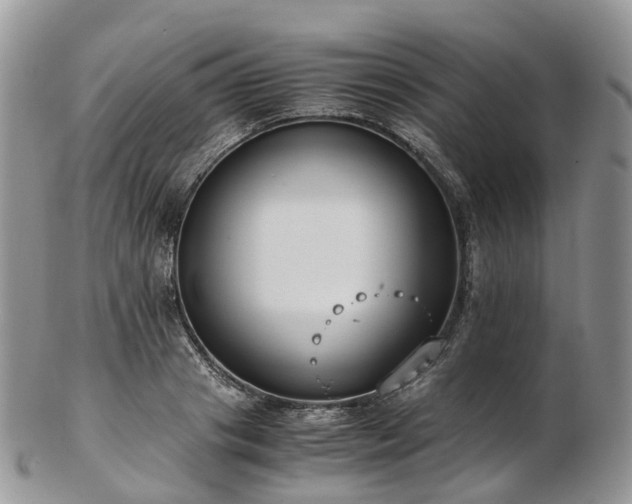 X0000102840841200808251154