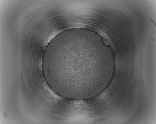 X0000102840842200808251154