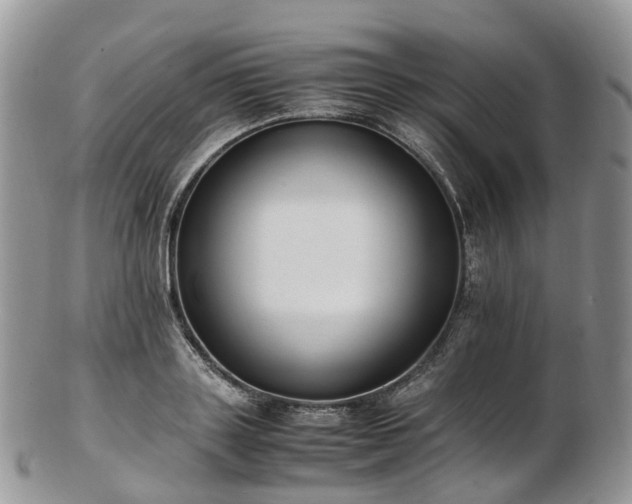 X0000102840843200808251154