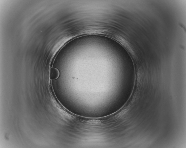 X0000102840844200808251154