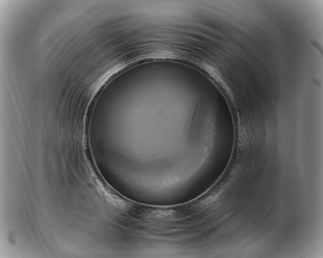 X0000102840845200808251154