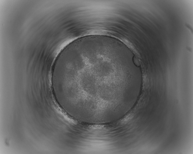 X0000102840846200808251154