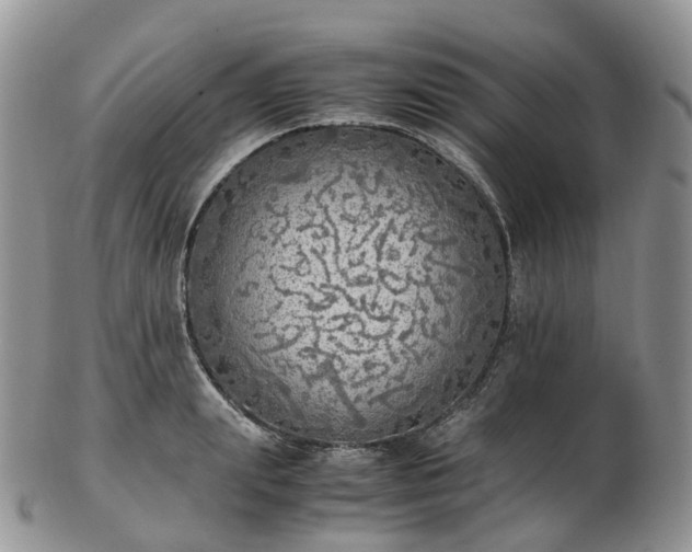 X0000102840847200808251154