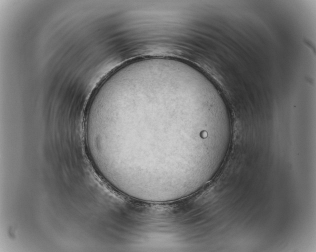 X0000102840848200808251154