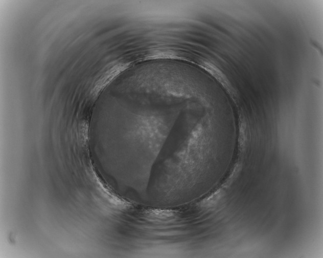 X0000102840849200808251154