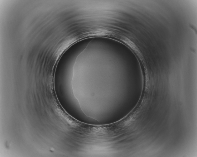 X0000102840850200808251154