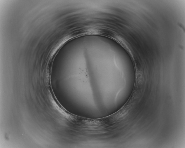 X0000102840851200808251154