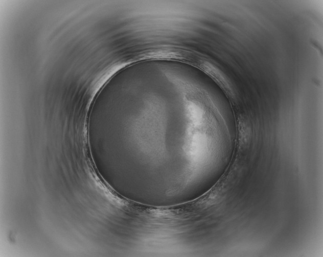 X0000102840852200808251154