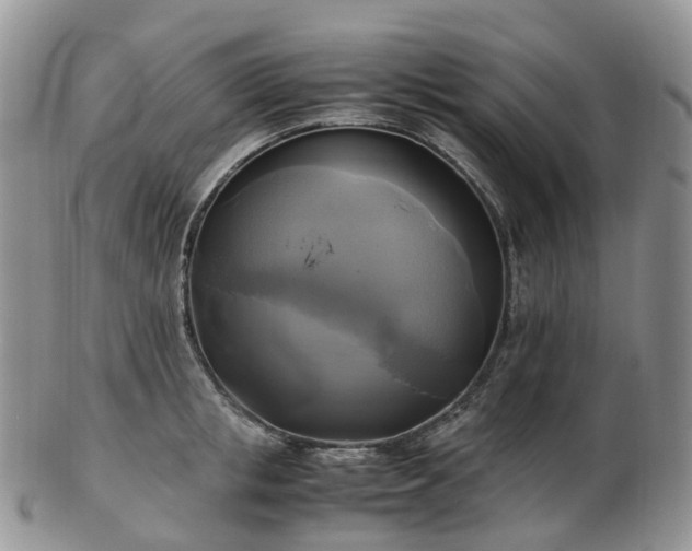 X0000102840853200808251154