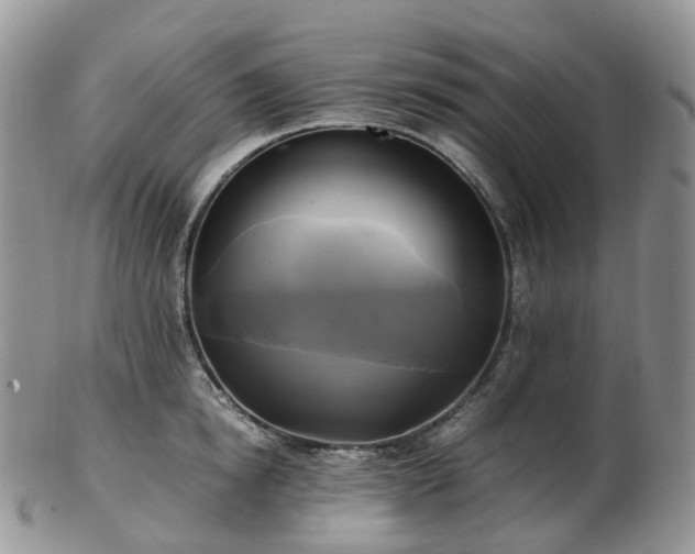 X0000102840854200808251154