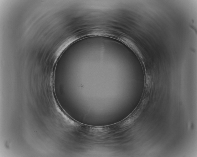 X0000102840855200808251154