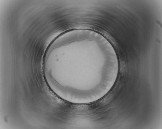 X0000102840856200808251154