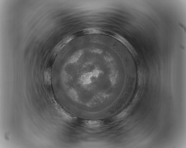 X0000102840857200808251154