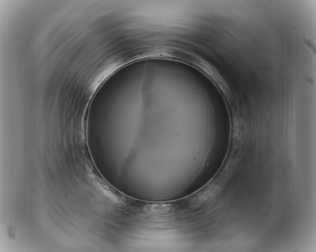 X0000102840858200808251154