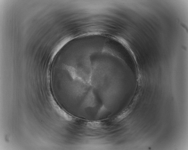 X0000102840859200808251154