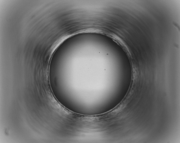 X0000102840860200808251154