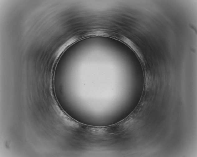 X0000102840861200808251154