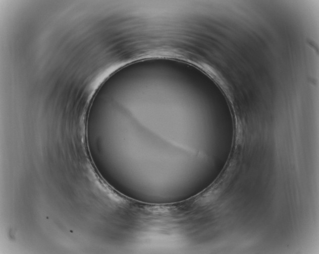 X0000102840862200808251154