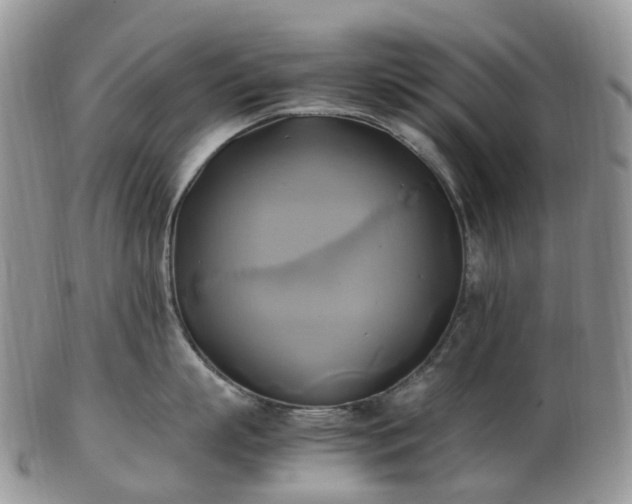 X0000102840863200808251154