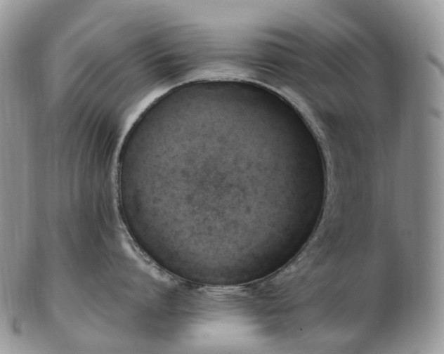 X0000102840864200808251154