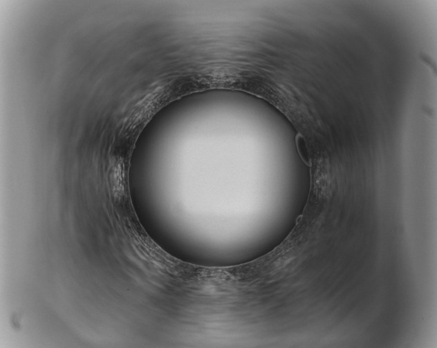 X0000102840866200808251153