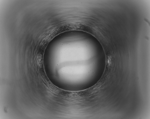 X0000102840867200808251153